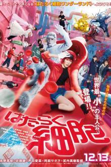 Cells at Work (2024)