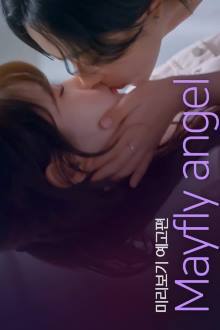 Mayfly Angel (2024)
