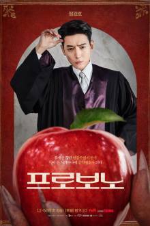 Pro Bono (Korean Drama 2025) Ep 10 Eng Sub
