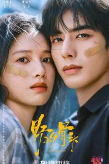 Love for You (2026) Ep 26 Eng Sub