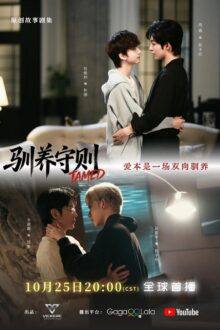 Tamed BL Series (2026)