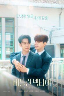 Twisted Tie (2026)